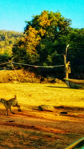 Asola Bhatti Wildlife Sanctuary