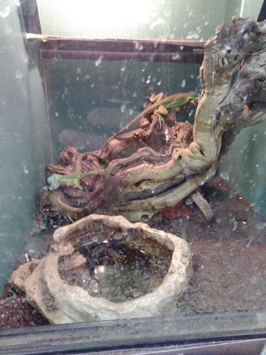 Pet Supply Store «Pet Valu», reviews and photos, 6334 Gender Rd, Canal Winchester, OH 43110, USA