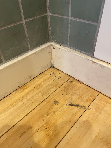 House Cleaning Service «MOLLY MAID of Arvada», reviews and photos, 5005 W 81st Pl #100, Westminster, CO 80031, USA