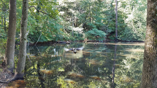 Performing Arts Theater «Chastain Park Amphitheatre», reviews and photos, 4469 Stella Dr NW, Atlanta, GA 30342, USA