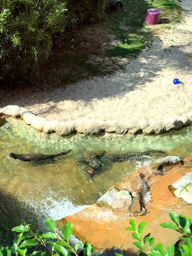 Zoo «Rainforest Pyramid», reviews and photos, 1 Hope Blvd, Galveston, TX 77554, USA