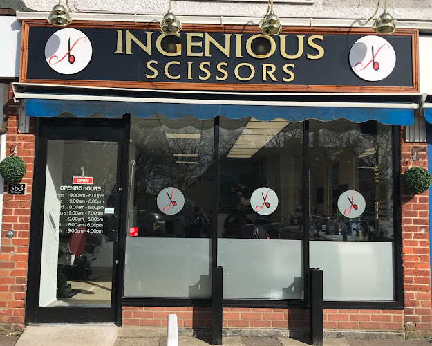 Ingenious Scissors - Norwich