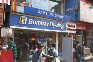 Bombay Dyeing image
