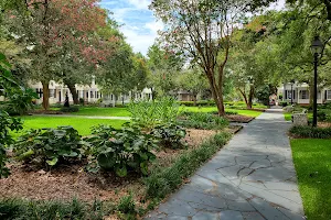 Washington Square image