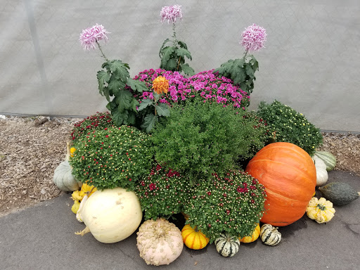 Gift Shop «Meijer Gardens Gift Shop», reviews and photos, 1000 E Beltline Ave NE, Grand Rapids, MI 49525, USA