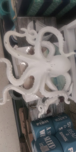 Craft Store «Hobby Lobby», reviews and photos, 2455 W International Speedway Blvd, Daytona Beach, FL 32114, USA