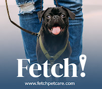 Fetch Pet Care Wheaton - Photo 9 - Car repair in Wheaton, IL, Aurora