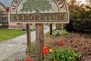 Aurora Community Arboretum image