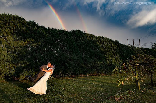 Wine Store «Alto Vineyards Champaign», reviews and photos, 4210 N Duncan Rd, Champaign, IL 61822, USA