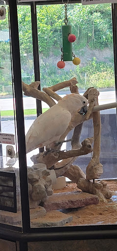 Pet Store «Wet Pets And Friends», reviews and photos, 3695 Washington Rd, Canonsburg, PA 15317, USA