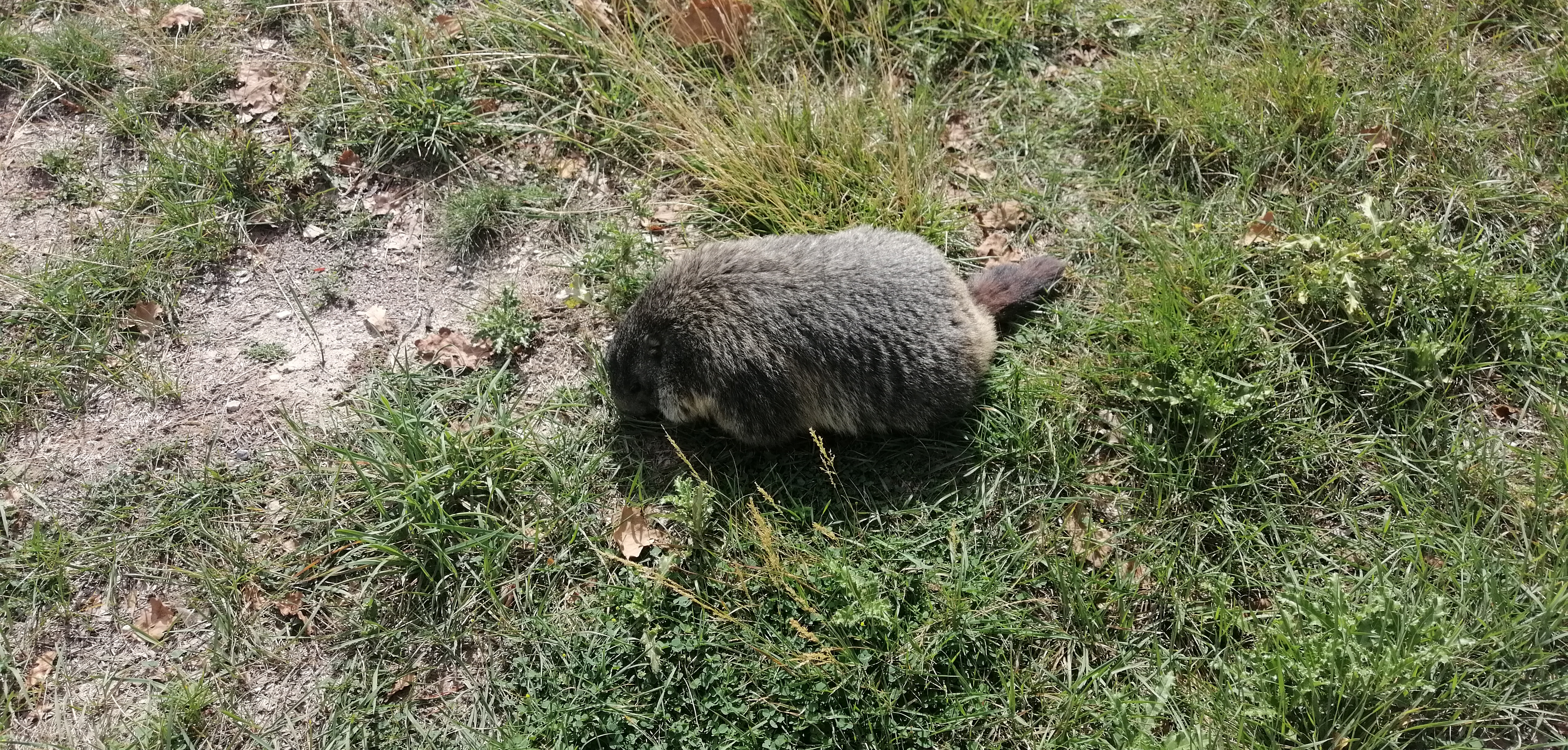 Photo n° 1 de l'avis de Jean.i fait le 08/09/2022 à 17:10