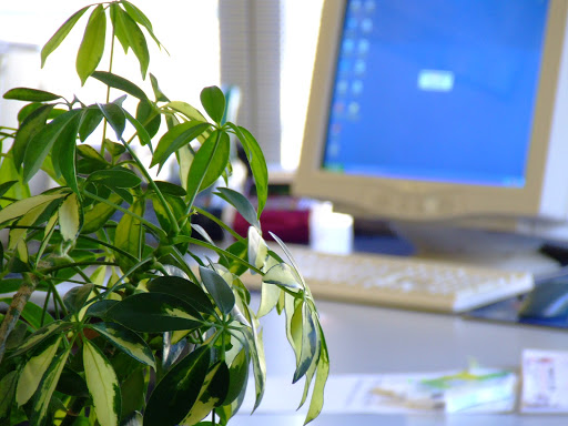 Allianz & Yapı Kredi Sigorta (Mehmet Kara)