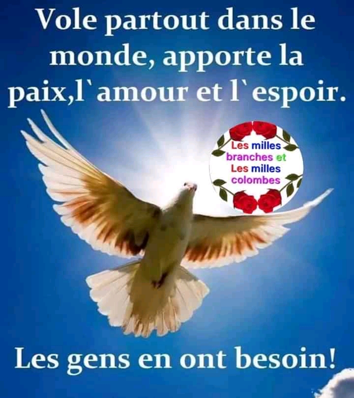 Photo n° 25 de l'avis de Marie.r fait le 08/12/2020 à 15:26