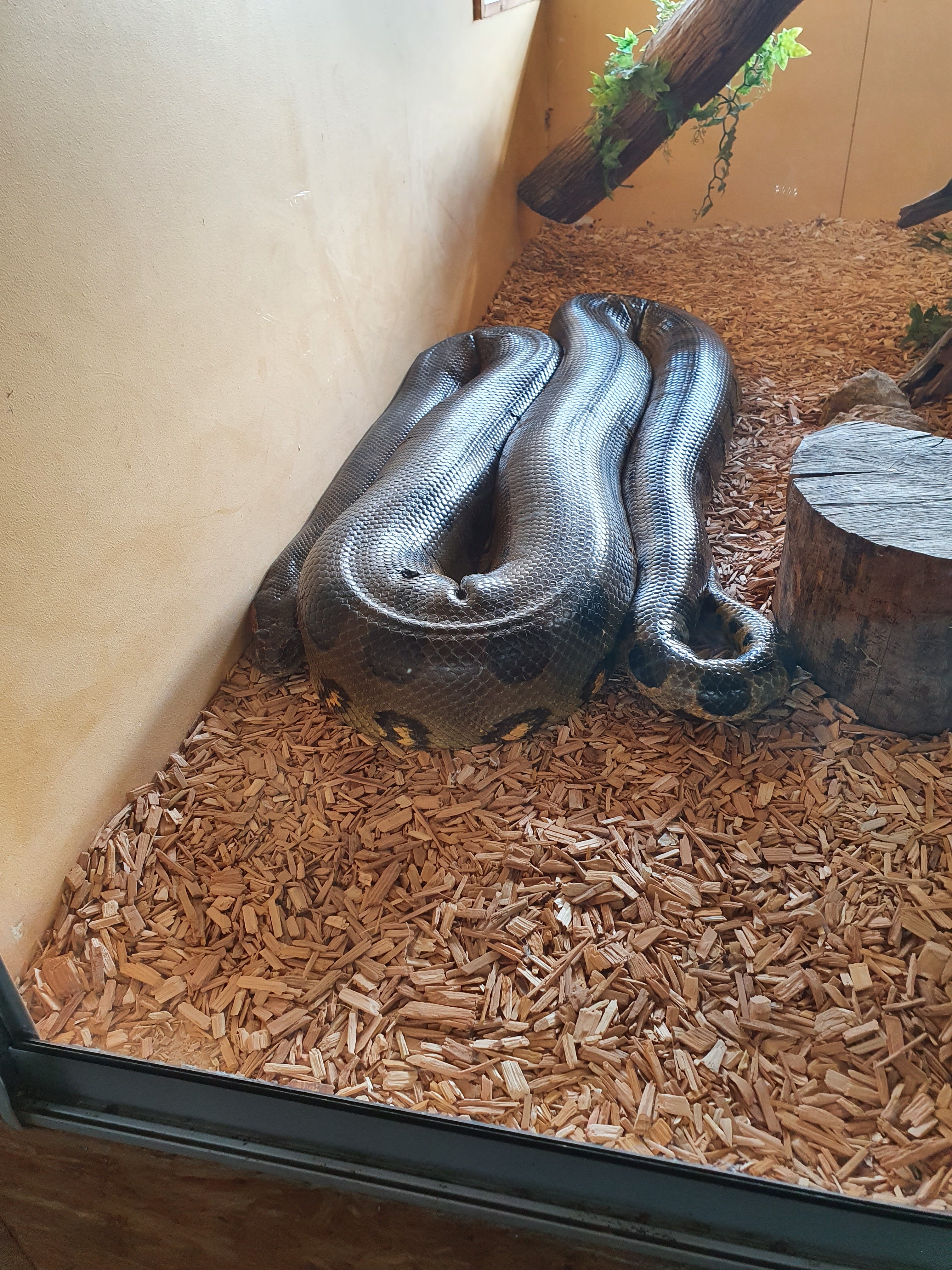 Photo n° 2 de l'avis de Fontes.o fait le 05/03/2022 à 12:26