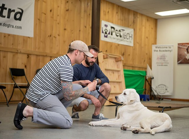 Upstate Canine Academy - Dog Training Facility