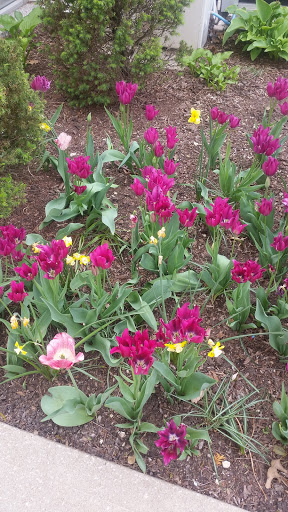 Historical Place «Liberty Jail Church Historic Site», reviews and photos, 216 N Main St, Liberty, MO 64068, USA