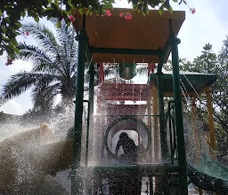Gardenia Swimming Pool photo