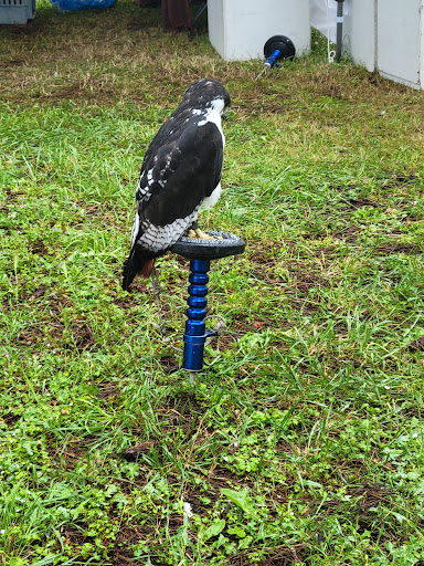 Fairground «Clackamas County Fairgrounds», reviews and photos, 694 NE 4th Ave, Canby, OR 97013, USA