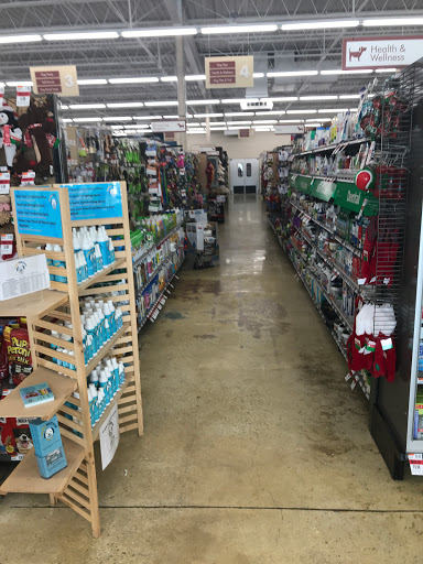 Pet Supply Store «Pet Supplies Plus», reviews and photos, 977 Atlantic Blvd, Atlantic Beach, FL 32233, USA