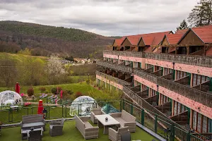 Hotel & Spa Les Violettes En Alsace image