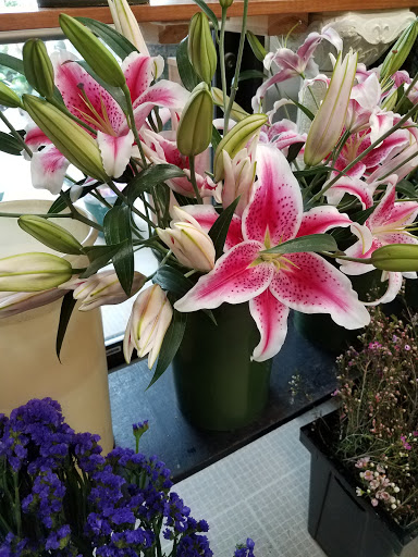 Florist «Hofmann Florist», reviews and photos, 450 Dixie Hwy, Chicago Heights, IL 60411, USA