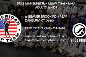 American Top Team Connecticut BJJ, MMA, Muay Thai Danbury, CT image