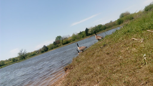 Nature Preserve «Arthur L. Janura Forest Preserve», reviews and photos, IL-58, Elgin, IL 60120, USA