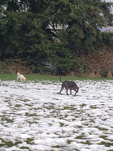 Park «Northacres Park», reviews and photos, 12718 1st Ave NE, Seattle, WA 98125, USA