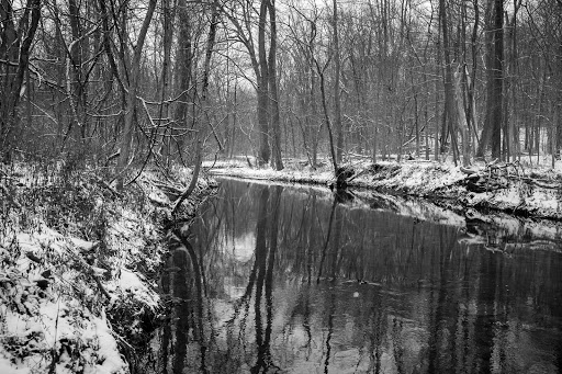 Nature Preserve «Sweet Arrow Reserve», reviews and photos, 789 Little Sugarcreek Rd, Sugarcreek Township, OH 45440, USA