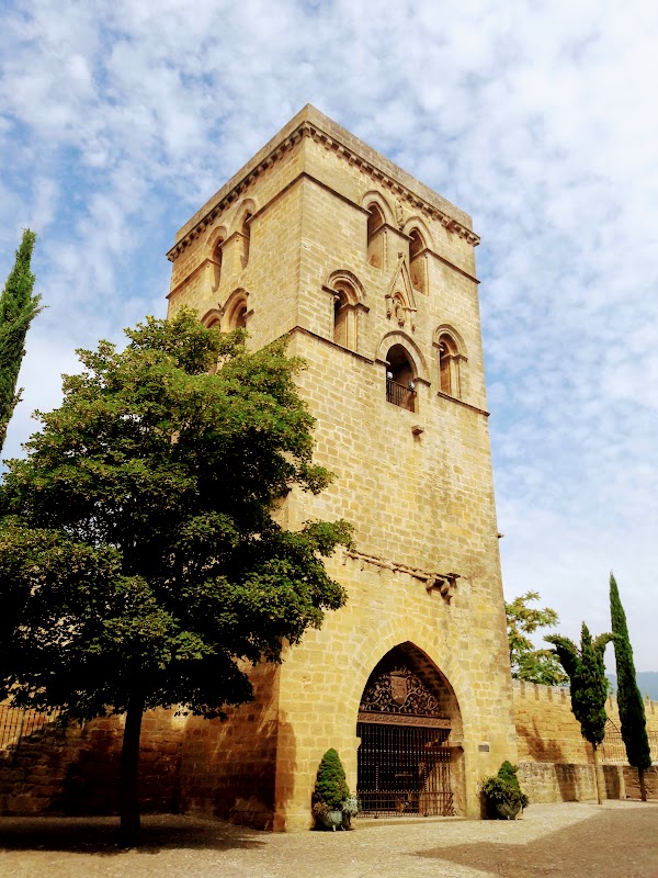 Imagen de BIRDING EUSKADI - Lagunas de Laguardia (1 de 12)