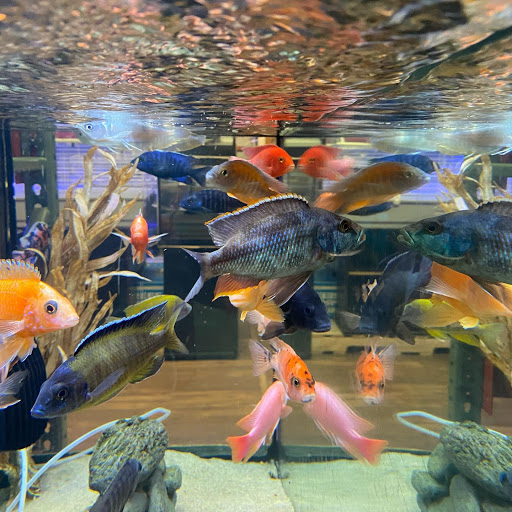 Pet Store «Pet Central», reviews and photos, 1200 Smallhouse Rd, Bowling Green, KY 42104, USA