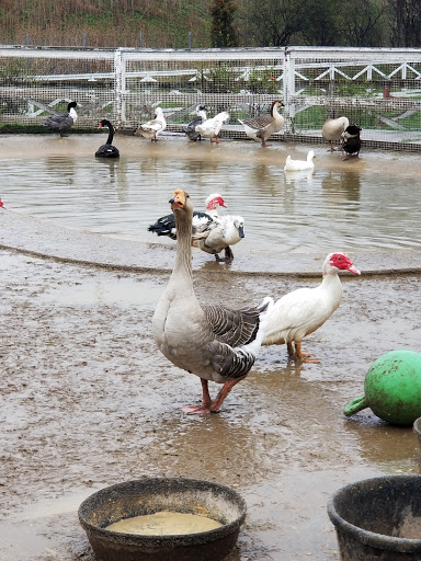 Social Services Organization «Lambs Farm», reviews and photos, 14245 W Rockland Rd, Libertyville, IL 60048, USA