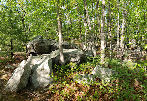 State Park «Lincoln Woods State Park», reviews and photos, 2 Manchester Print Works Rd, Lincoln, RI 02865, USA