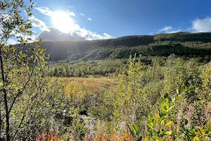 WILD LAB PROJECTS - Citizen Science around Tromsø & Senja image