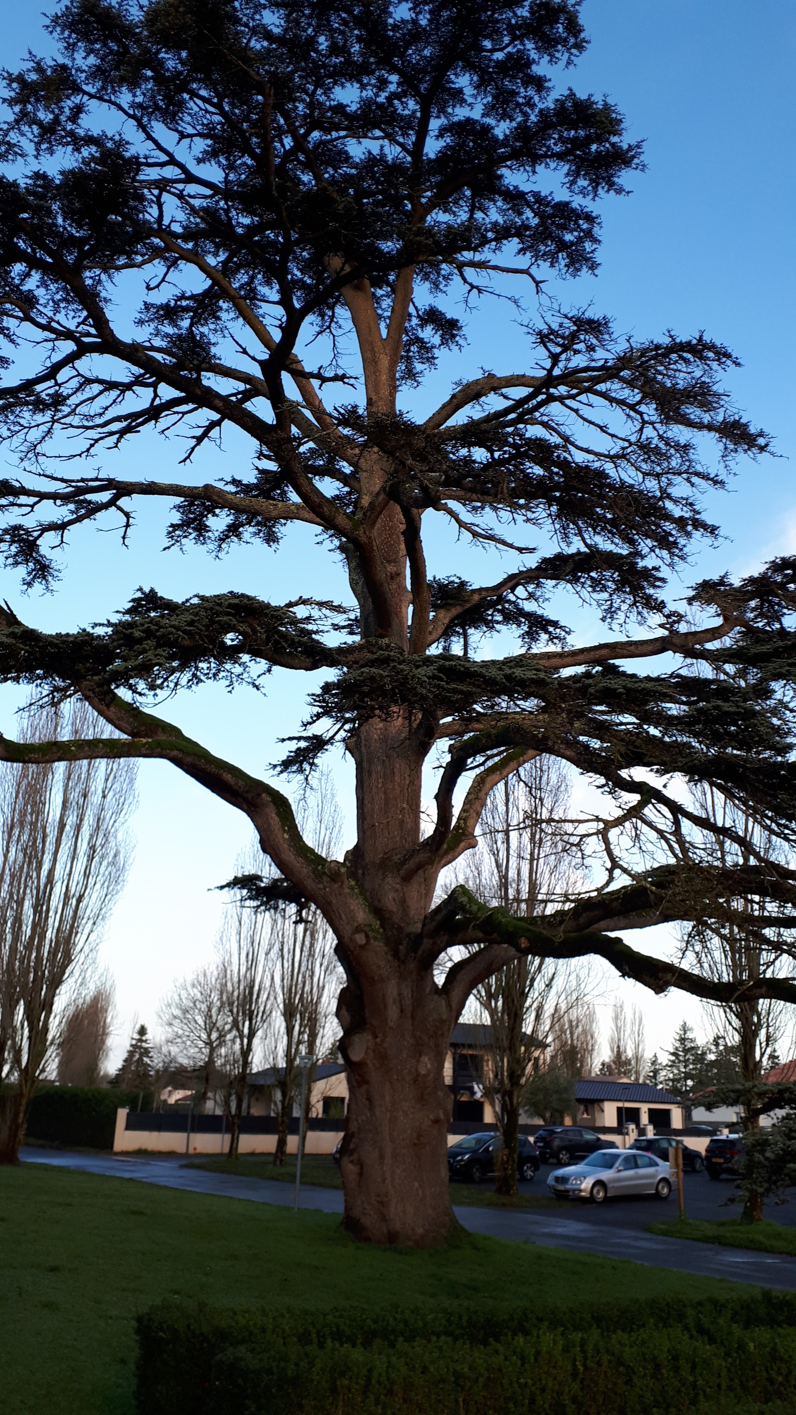 Photo n° 1 de l'avis de Didier.e fait le 21/12/2019 à 12:18