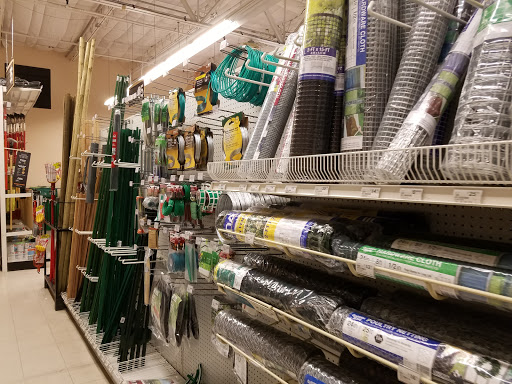 Hardware Store «Ace Hardware & Rental - Scottsdale», reviews and photos, 10300 N Scottsdale Rd, Scottsdale, AZ 85253, USA