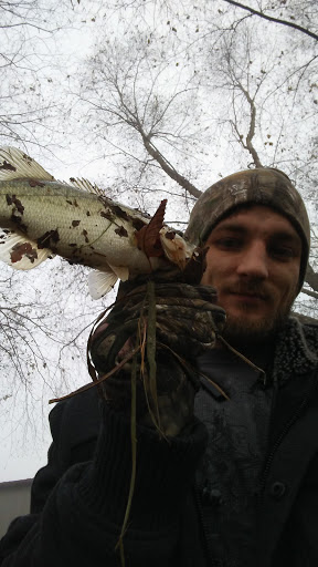 Motorsports Store «Sunrise Honda Motorsports», reviews and photos, 800 Truman Baker Dr, Searcy, AR 72143, USA