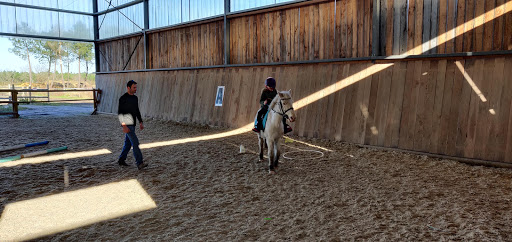 Haras Bordeaux