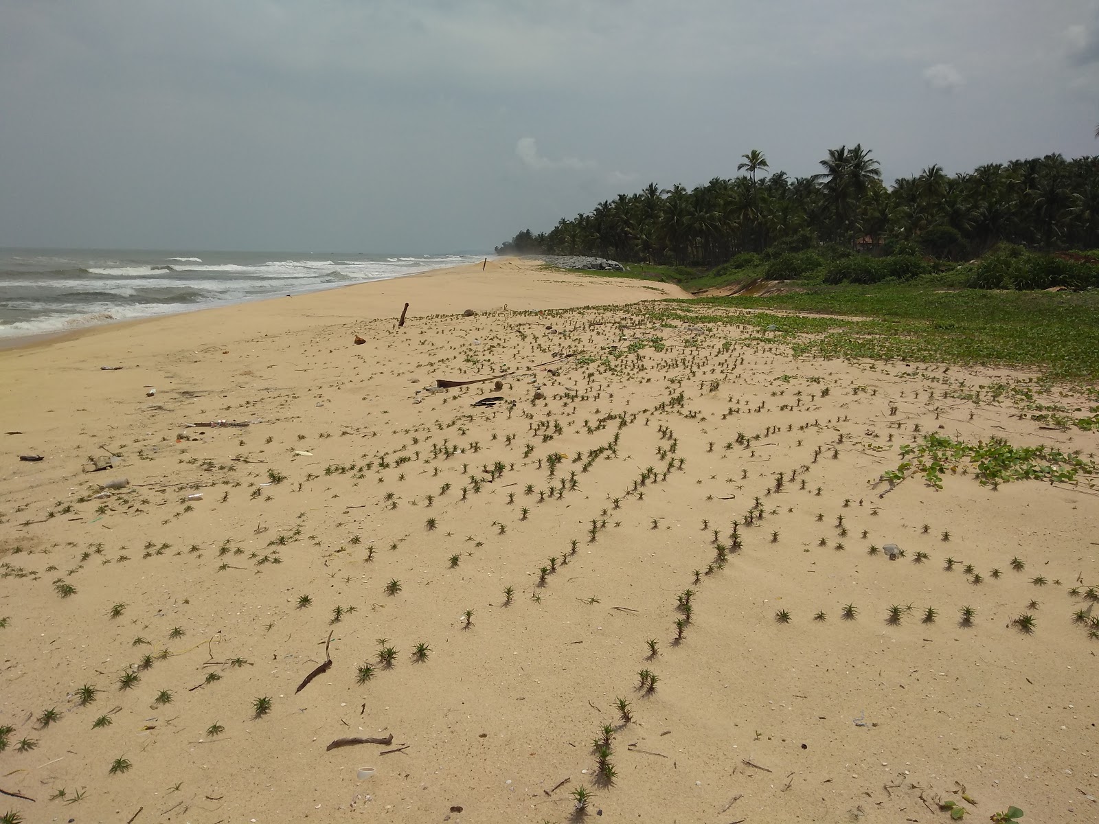 Photo de Akalabailu beach situé dans une zone naturelle