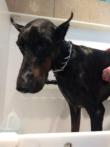 Pet Supply Store «Fresh Tracks Pet Shoppe», reviews and photos, 41199 US-6, Avon, CO 81620, USA