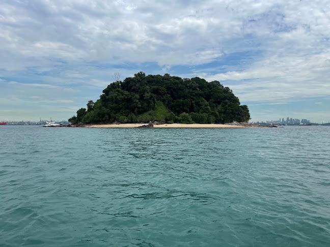 Marlin Divers - School