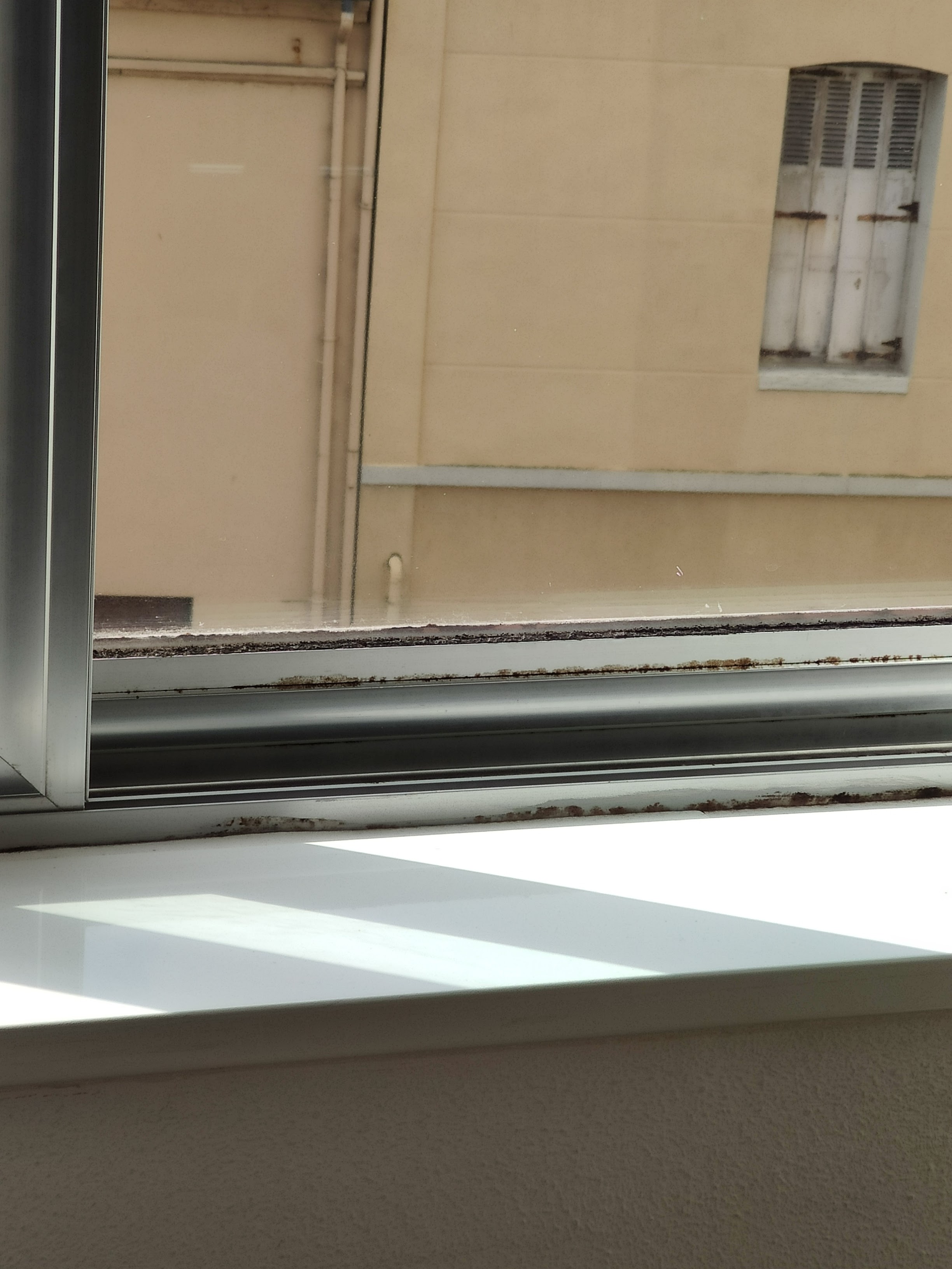 Photo n° 7 de l'avis de Brian.e fait le 26/07/2020 à 14:48