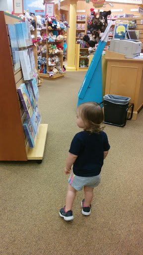 Book Store «Barnes & Noble», reviews and photos, 200 S Gary Ave, Bloomingdale, IL 60108, USA