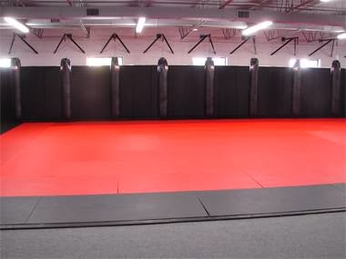 Martial Arts School «The Cellar Gym», reviews and photos, 2828 Anthony Ln S, St Anthony, MN 55418, USA