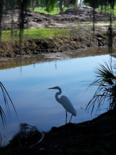 Golf Course «Clewiston Golf Course», reviews and photos, 1201 San Luiz Ave, Clewiston, FL 33440, USA