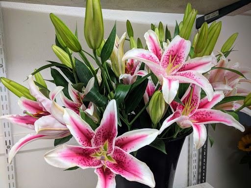 Florist «Tiger Lily Florist», reviews and photos, 2115 Festival Plaza Dr #170, Las Vegas, NV 89135, USA