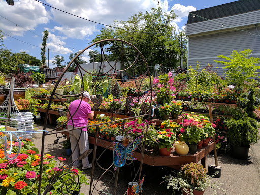 Market «Rising Up Garden Center, Landscape Design, & Florist», reviews and photos, 1314 St George Ave, Avenel, NJ 07001, USA