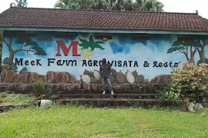Meek Farm image