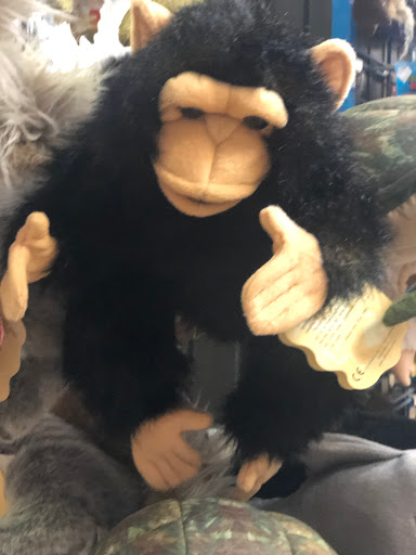 Toy Store «Boomerang Toy Store», reviews and photos, 1 N Forest Beach Dr # B1-4, Hilton Head Island, SC 29928, USA