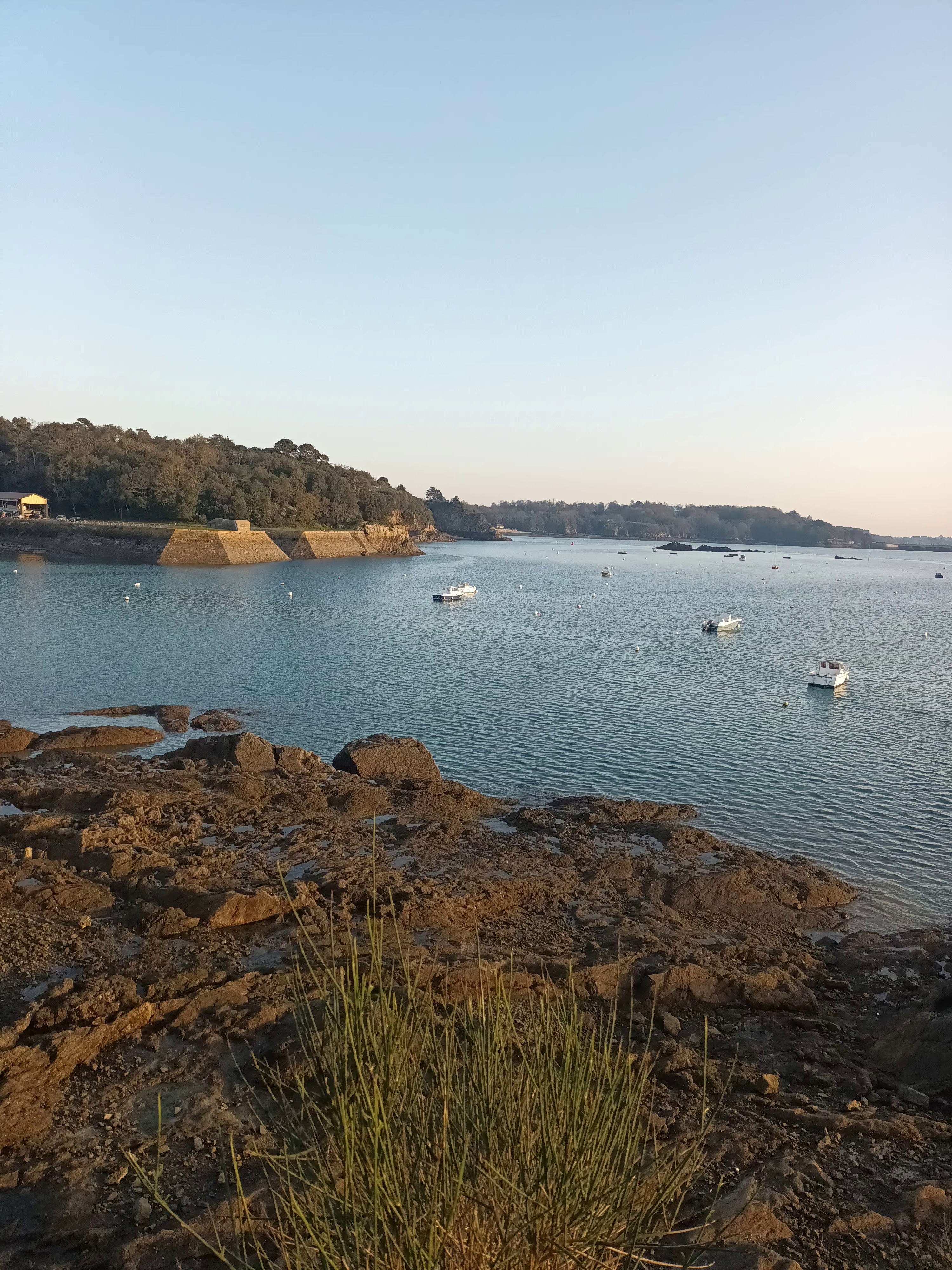 Photo n° 5 de l'avis de Laetitia.a fait le 15/04/2023 à 20:59